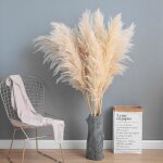 Fleur - plante artificielle - noname - bouquet de fleurs sches - 5 pices - 80 - 120 cm - blanc naturel ...