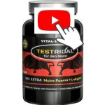 60 gélules pour le bodybuilding et la libido avec : muira puama l - arginine tribulus guarana maca thé ... 60 gélules pour le bodybuilding et la libido avec : muira puama l - arginine tribulus guarana maca thé ...