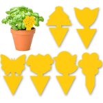 60 pieces anti moucherons interieur - attrape moucheron plantes - piege a moucherons cuisine - trs efficace ...