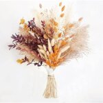 64 herbes pampa s�ch�es + queue lapin bouquet naturel pour f�te rustique boho mariage vases