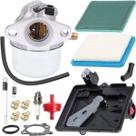 799868 498170 carburateur pour briggs & stratton 124t02 124t07 126m02 129700 12v800 12c700 4 temps petits ...