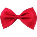 Accessoire animaux : noeud papillon rouge costume c�r�monie pour chien ou chat