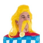 Accessoire de dguisement - set perruque et moustache - homme - noir - licence assurancetourix