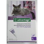 Advantage chat de 4 kg et plus.
