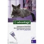 Advantage chat par 6 pipettes neuves
