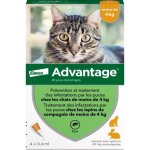 Advantage solution antipuce chat lapin 1  4kg 4 pipettes