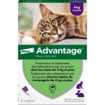 Advantage solution antipuce chat lapin + 4kg 4 pipettes