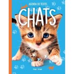 Agenda de texte chats 2022 - 2023