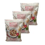 Agidra - lot 3x muesli croustillant aux fruits - paquet 450g