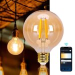 Aigostar - ampoule led wifi vintage e27 g95 6w. 806lm 2700k - 6500k ambre. compatible alexa et google ...