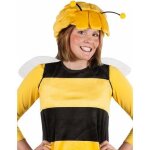Ailes maya labeille adulte