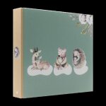 Album photos pochettes comptines 200 photos ceanothe - vert