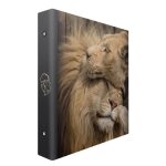 Album photo pochette f�lins 400 ceanothe - marron