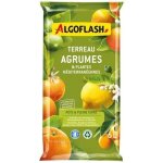 Algoflash terreau agrumes et plantes mditerranennes 6l / nc