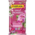 Algoflash terreau orchides 6l / nc