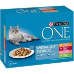 Aliments pour chats - purina - one spcial chat strilis - 8x 85g - sachets fracheur - lot de 2