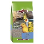 Alimentation pour oiseaux - versele - laga - grit avec corail - 25kg - oiseaux exotiques - m�lange de ...