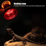 Ampoule de lampe chauffante de chauffage infrarouge durable pour alimentation pour animaux de compagnie ... Ampoule de lampe chauffante de chauffage infrarouge durable pour alimentation pour animaux de compagnie ...