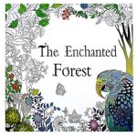 Amusant livre de coloriage adulte con�oit le livre de coloriage soulagement du stress mandalas animaux ...