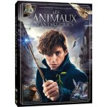 Les animaux fantastiques dvd
