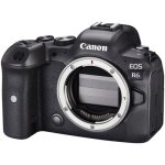 Appareil photo hybride canon eos r6 botier nu