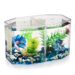 Aquarium de bureau de miniature: petit aquarium betta avec cloison amovible pour betta poisson rouge ...