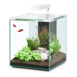 Aquarium nano cubic 40 blanc - aquatlantis