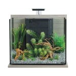 Aquarium poisson �quip� idro 50 zebrano gris - zolux