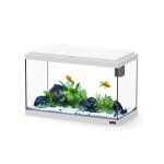 Aquarium poisson explorer vienna 42l blanc avec bio filter et rampe led - aquatlantis blanc