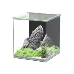 Aquarium poisson kubus curve 44l basic - aquatlantis