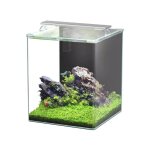 Aquarium poisson kubus curve 65l essential avec bio filter et led - aquatlantis