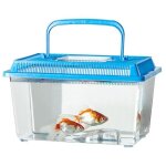Aquarium portable - non spécifié - 15x8x13 cm - plastique transparent - couvercle amovible - poignée ... Aquarium portable - non spécifié - 15x8x13 cm - plastique transparent - couvercle amovible - poignée ...