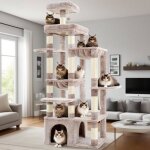 Arbre � chat 180cm de haut avec base stable plateforme xl grande maison pour chat 2 hamacs meubles pour ...