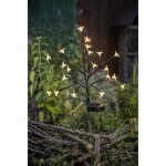 Arbuste � fleurs solaire - galix - g4505 - h72