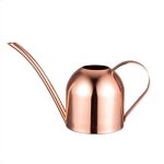 Arrosoir en acier inoxydable 33 oz - 1000 ml avec bec long pour les plantes dint�rieur - rose