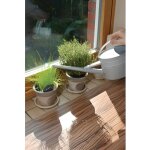 Arrosoir dintrieur en zinc