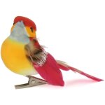 6 oiseaux couleur sur pince - 8x35x35 cm