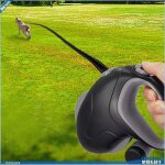 Ashata laisse pour animaux de compagnie laisse r�tractable pour chien 360 � animalerie collier fil r�fl�chissa ...