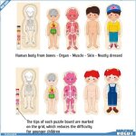 Ashata puzzles danatomie de la structure du corps puzzle du corps humain pour enfants structure du corps ...