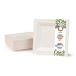 Assiette jetable carre en bagasse de canne  sucre biozoyg - 20x20cm - lot de 100