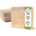 Assiette jetable - biozoyg - assiette carre en feuille de palme - biodgradable - 20x20cm