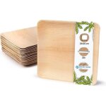 Assiette jetable - biozoyg - assiette carre en feuille de palme - biodgradable - 25x25cm 25 pices
