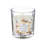 Bougie parfume neda vanille 110g - atmosphera createur dinterieur