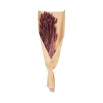 Atmosphera - bouquet de fleurs s�ch�es queue de lapin violet d. 18 x h. 58 cm
