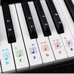 Autocollants pour clavier - 25 / 49 / 61 / 88 touches - pvc durable - r�utilisables - accessoires enfants ...