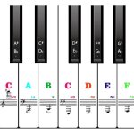 Autocollants de notes de piano - non spécifié - 88 / 61 / 54 / 49 touches - adhésif transparent - amovibles ... Autocollants de notes de piano - non spécifié - 88 / 61 / 54 / 49 touches - adhésif transparent - amovibles ...