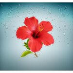 Autocollant sticker voiture hibiscus arbre fleur