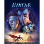Avatar 2 : la voie de leau (blu - ray)