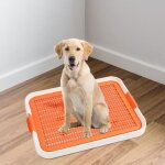 Bac  litire - premium - 48x36 cm - pour chien - confortable - facile  nettoyer