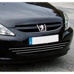 Baguette de calandre chrome peugeot 307 01 - 05 peugeot 307 cc 01 - 05 peugeot 307 sw 01 - 05